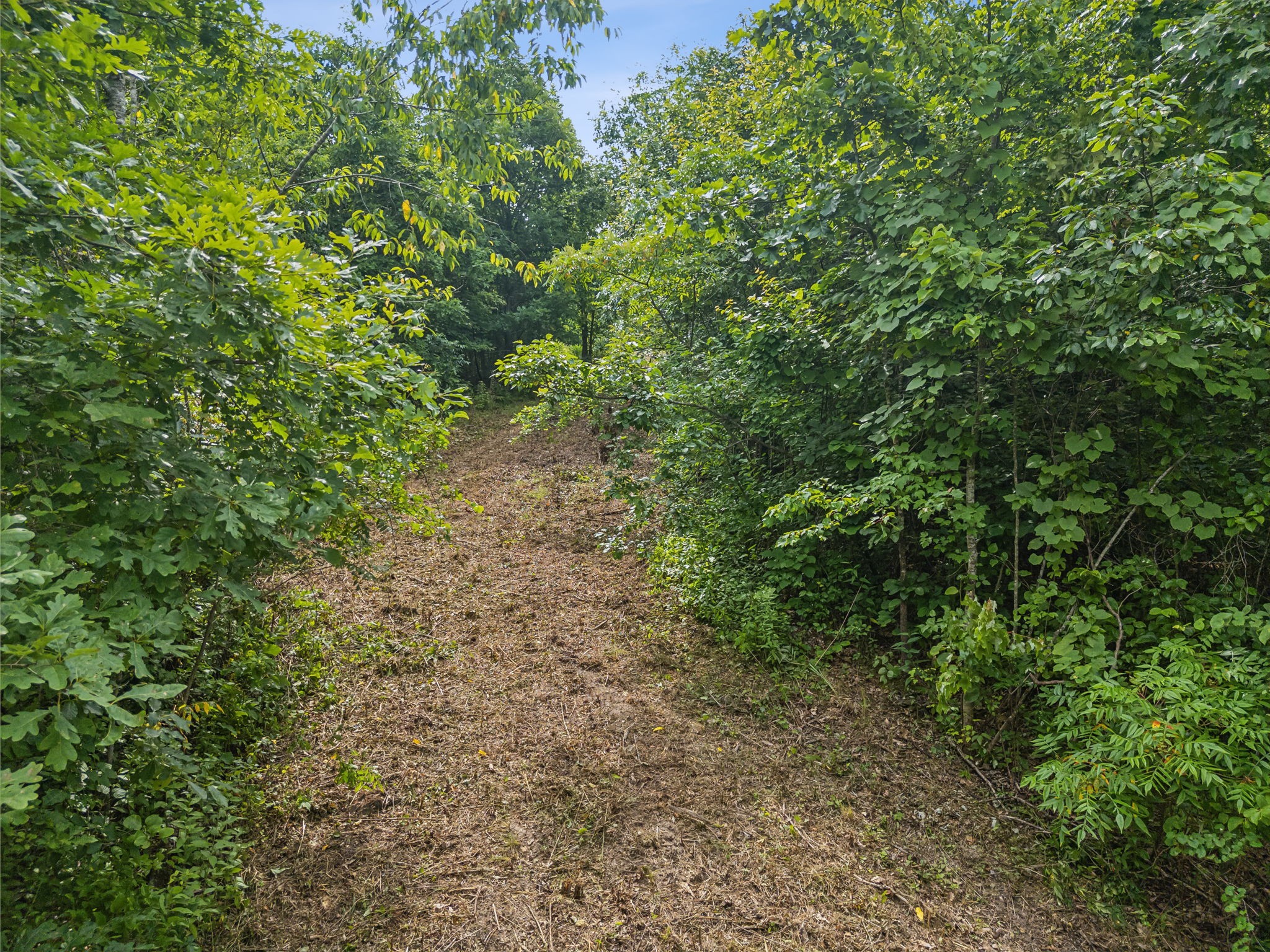 0 Bear Hollow Drive Waverly TN 37185