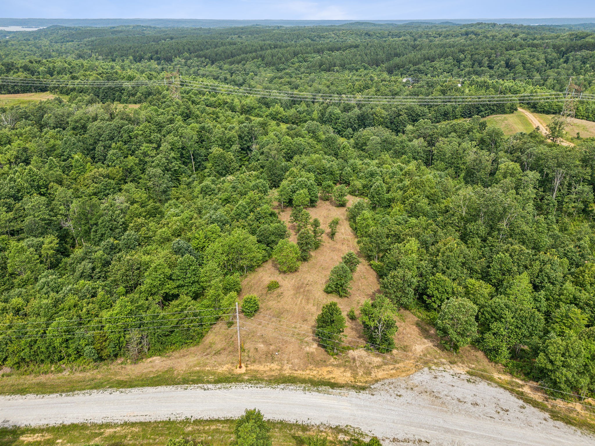 0 Bear Hollow Drive Waverly TN 37185