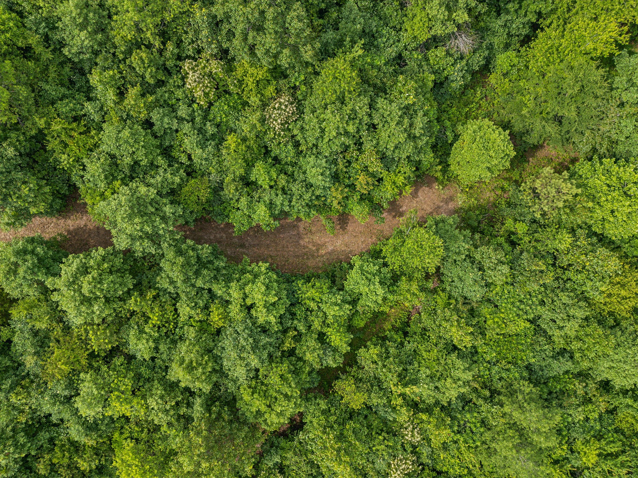 0 Bear Hollow Drive Waverly TN 37185