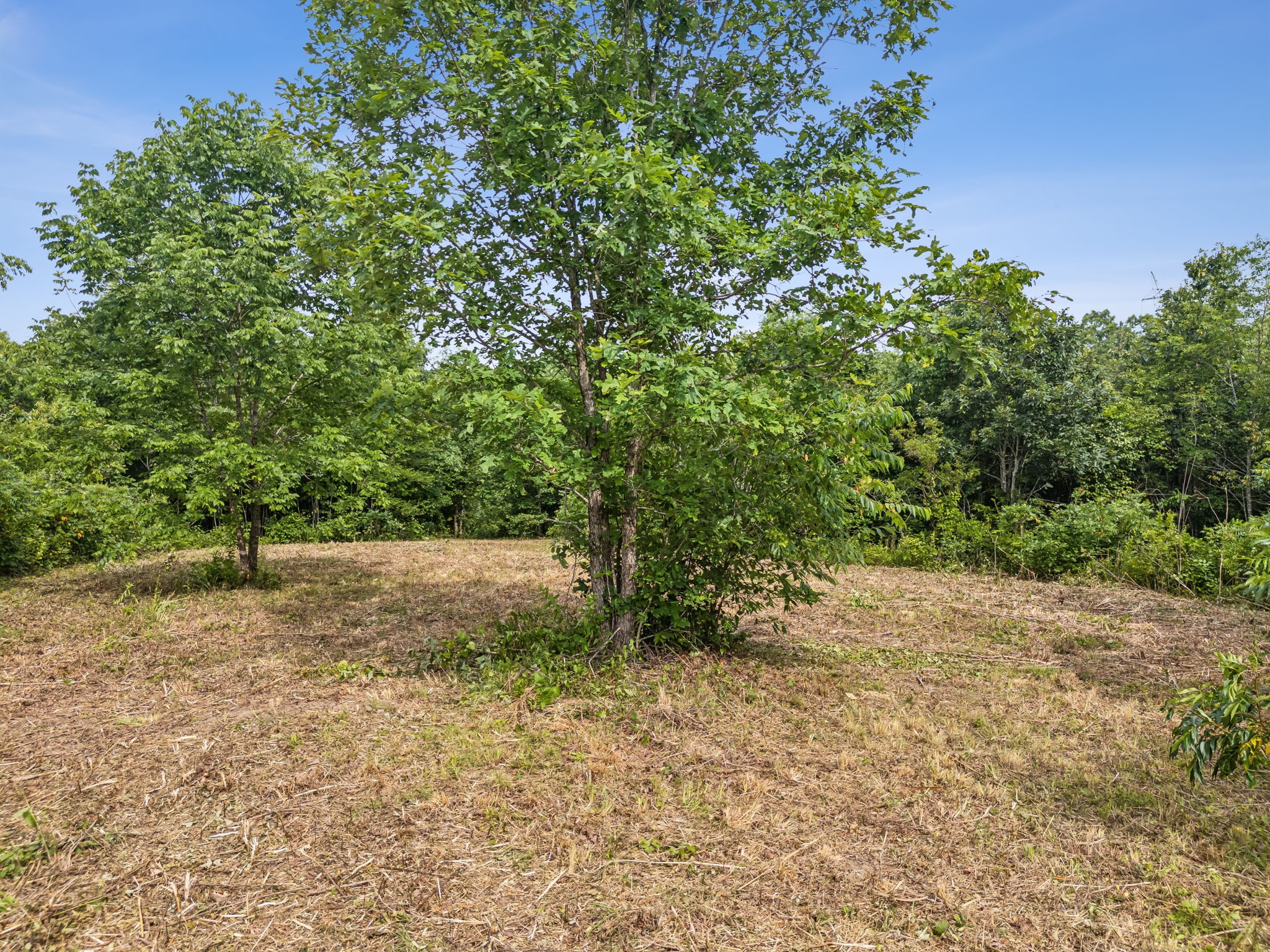 0 Bear Hollow Drive Waverly TN 37185
