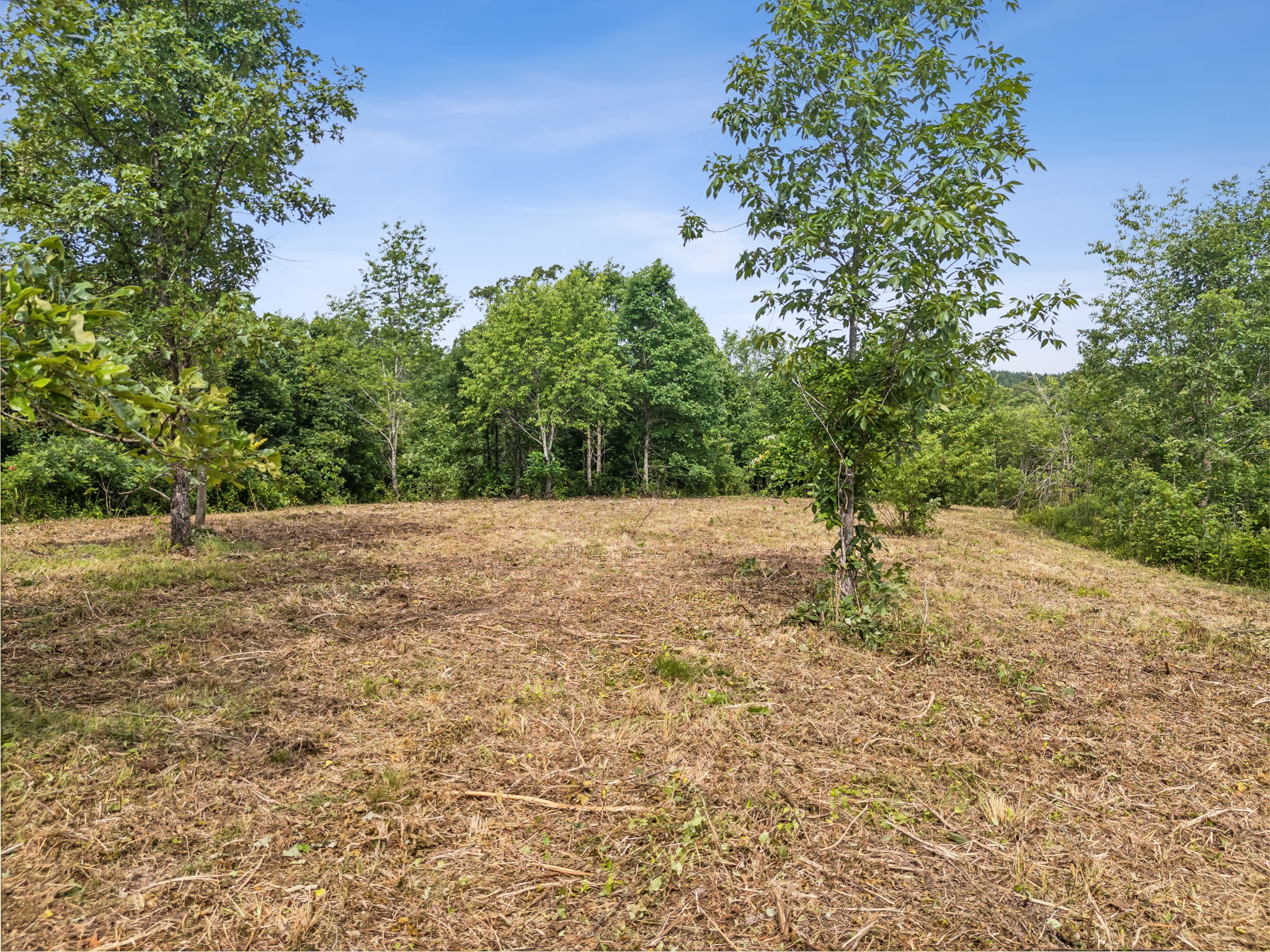 0 Bear Hollow Drive Waverly TN 37185