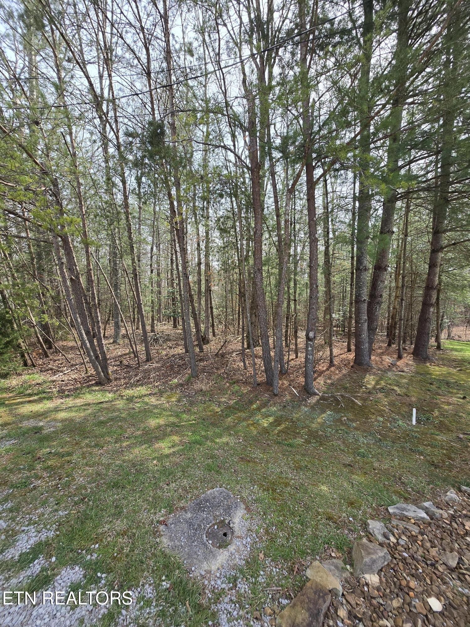 16 Holly Court Crossville TN 38558