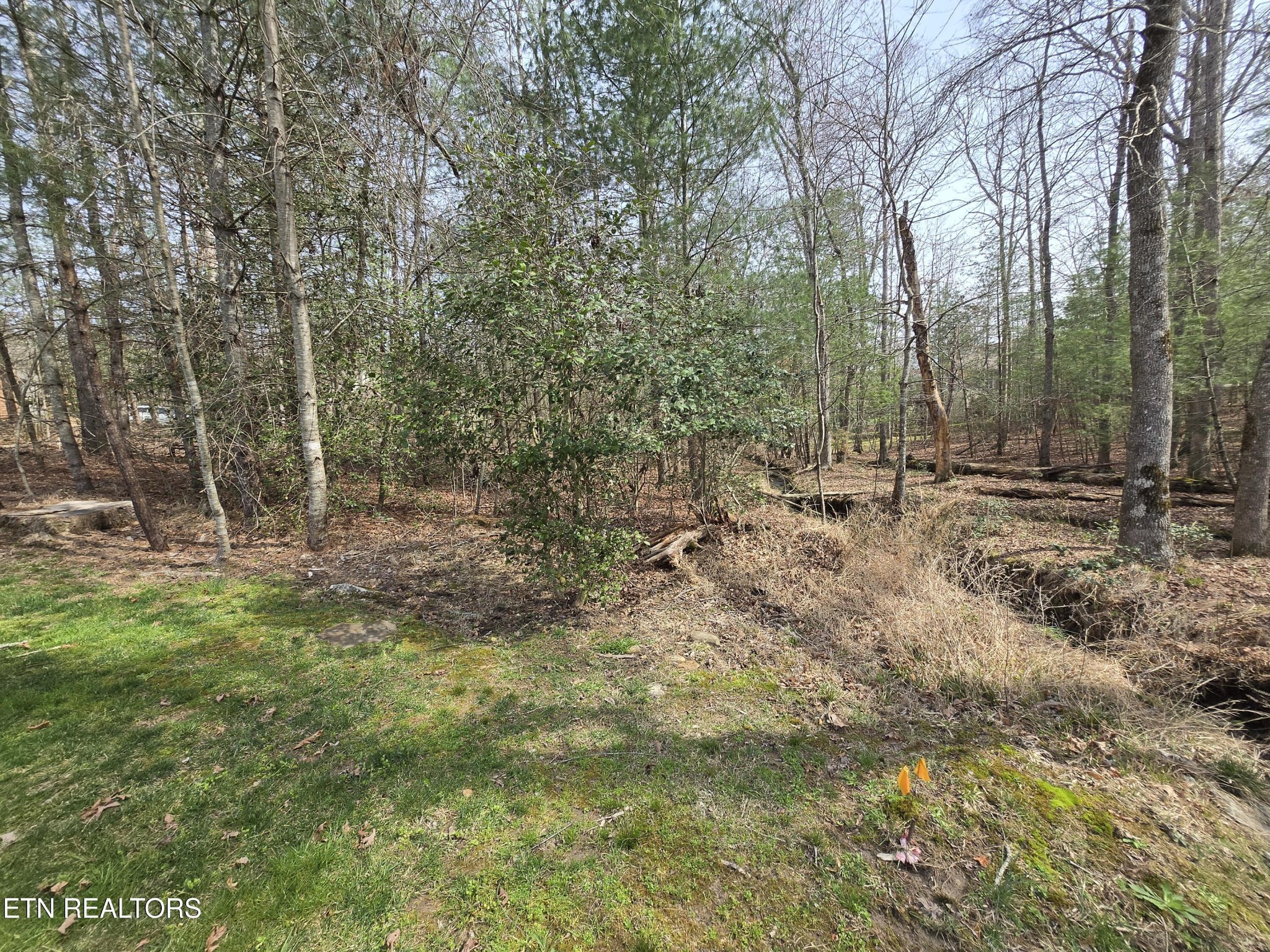 16 Holly Court Crossville TN 38558