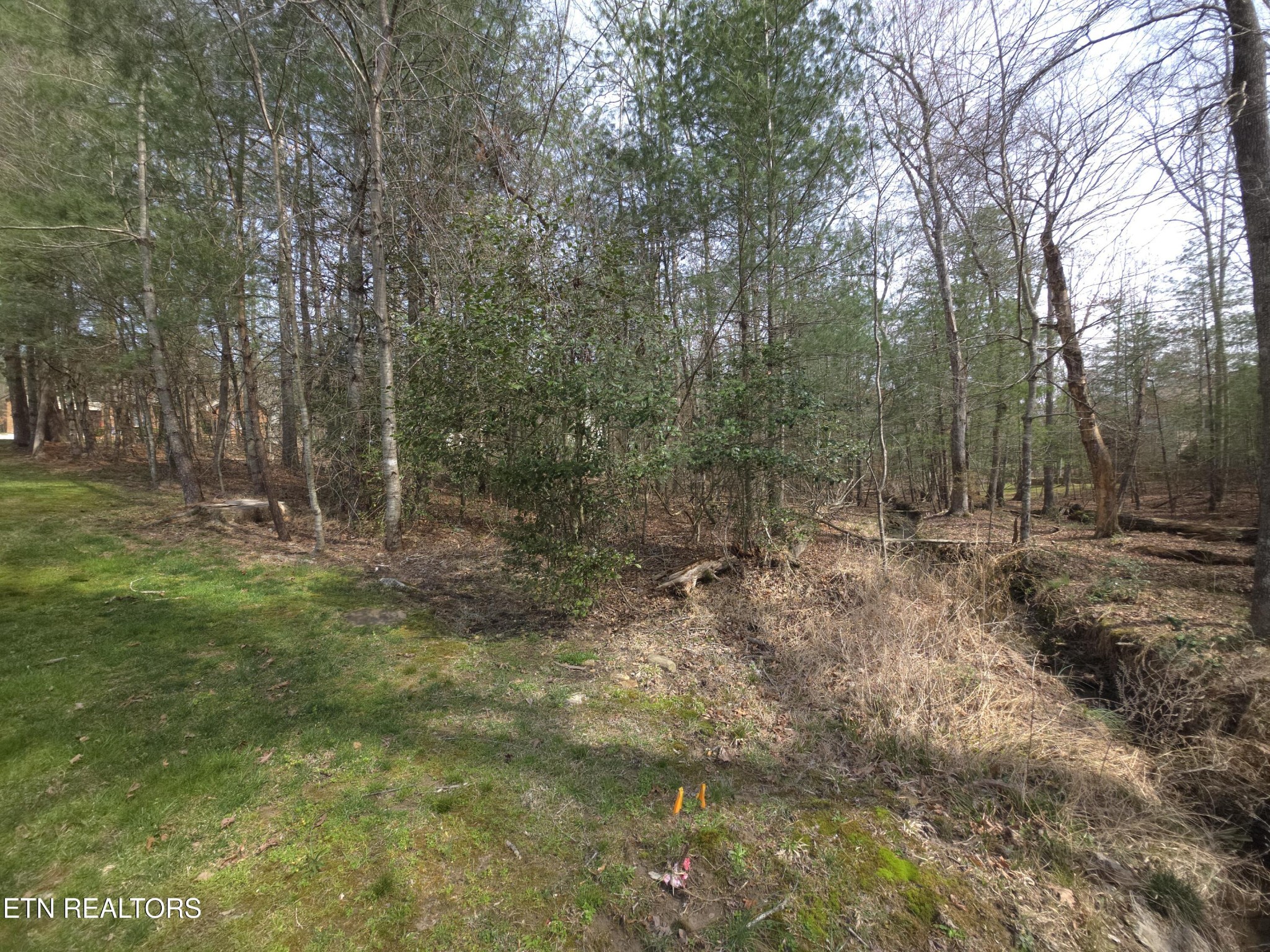 16 Holly Court Crossville TN 38558