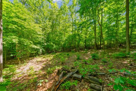 1530 Spring Hill Road Paris TN 38242