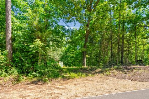 1530 Spring Hill Road Paris TN 38242