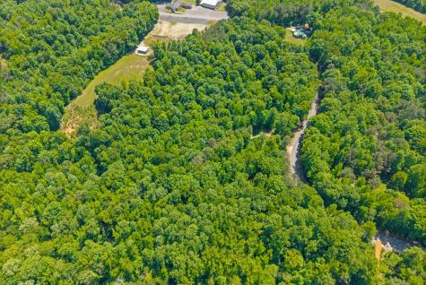 1530 Spring Hill Road Paris TN 38242