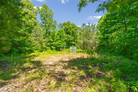 1530 Spring Hill Road Paris TN 38242