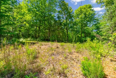 1530 Spring Hill Road Paris TN 38242