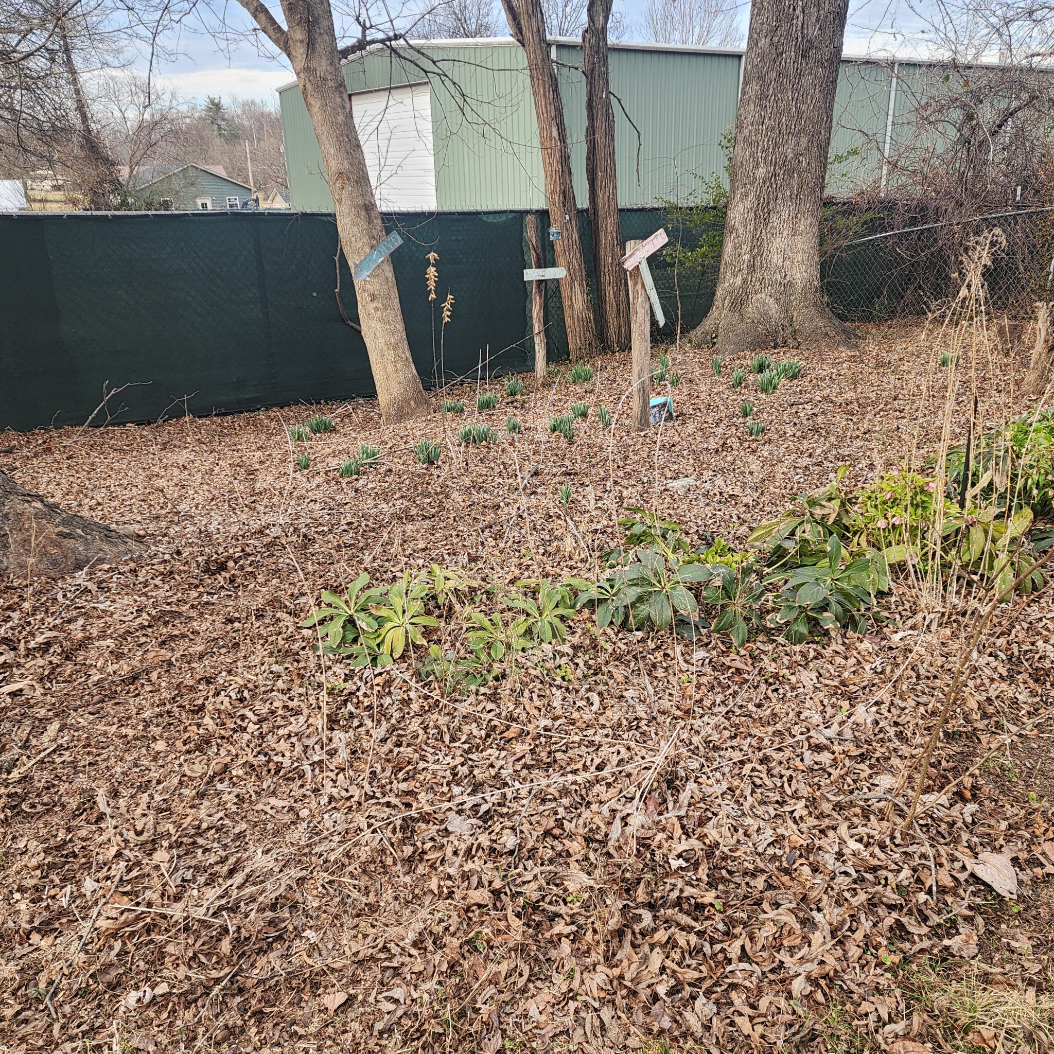 405 Sparta St, W Mcminnville TN 37110