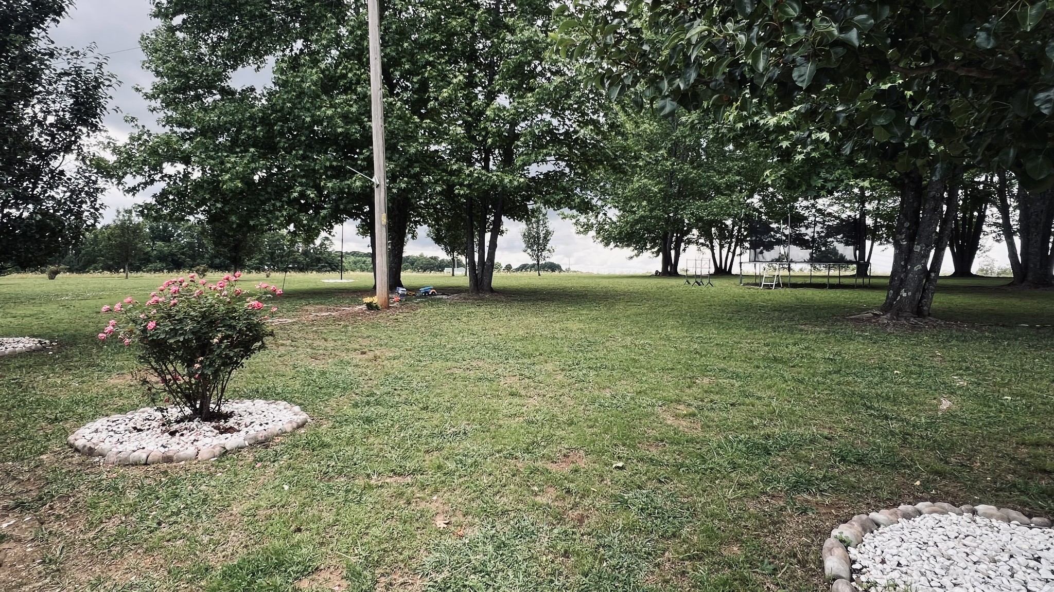 147 Paul Spears Road Summertown TN 38483