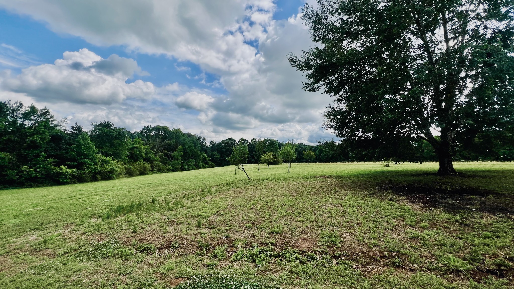 147 Paul Spears Road Summertown TN 38483