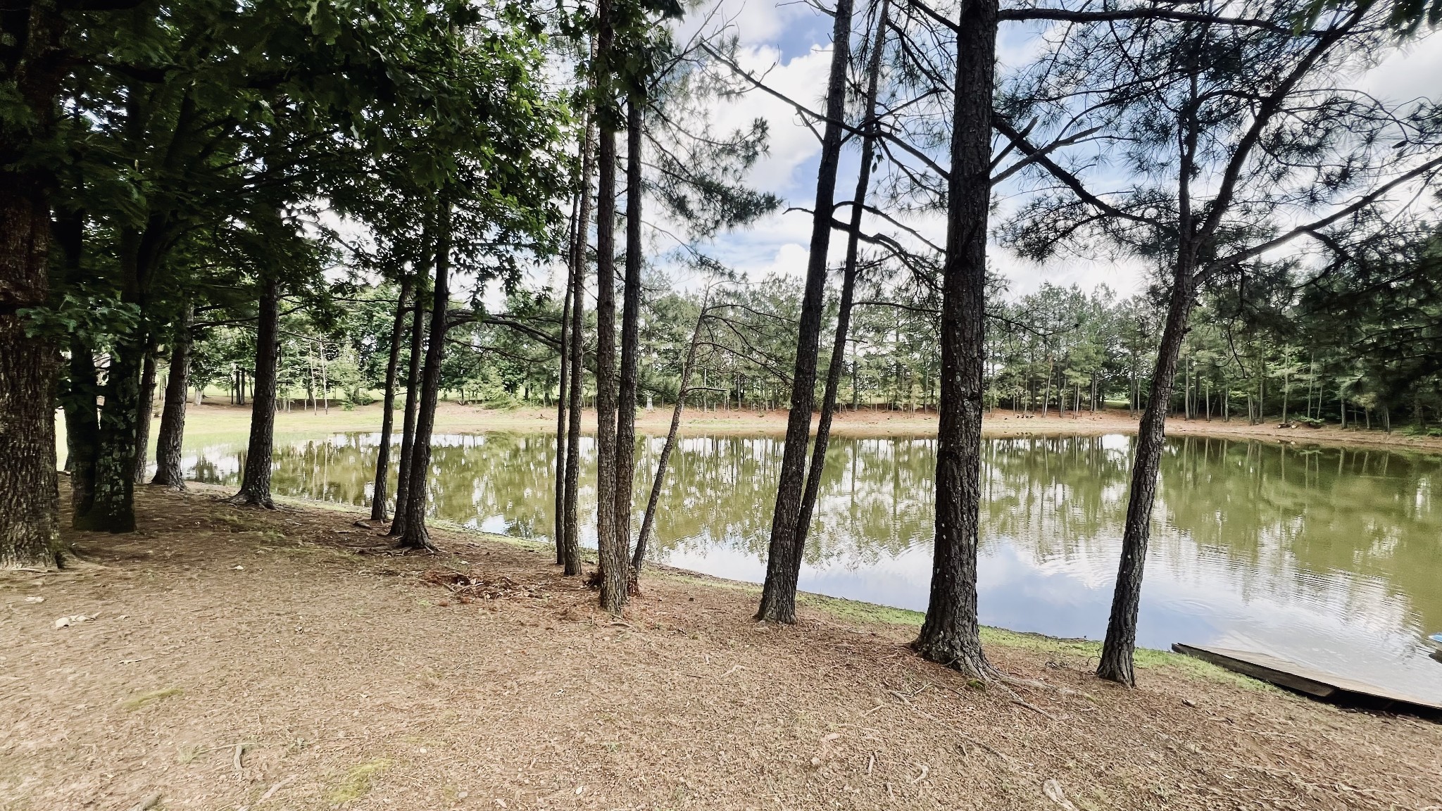 147 Paul Spears Road Summertown TN 38483