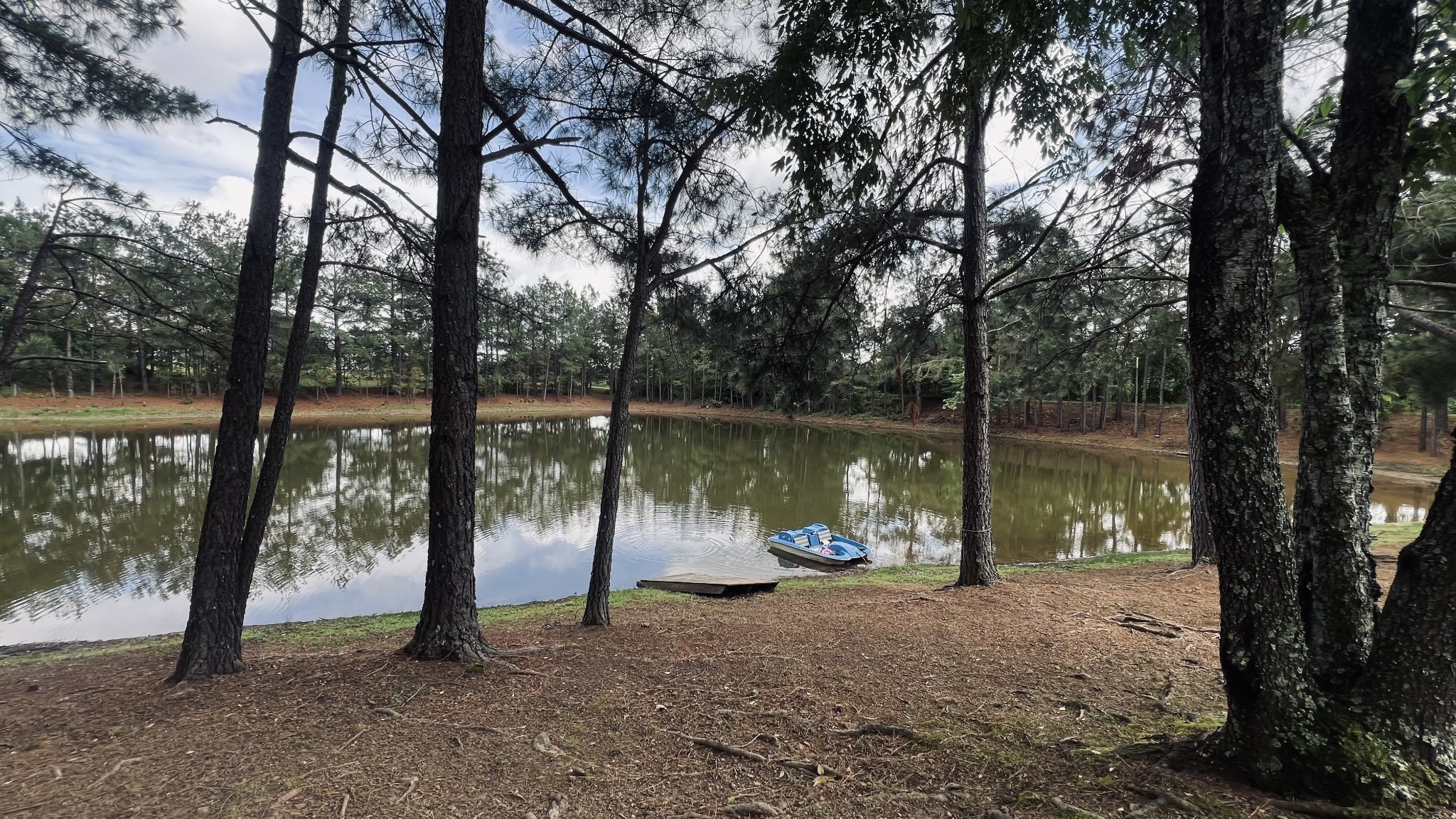 147 Paul Spears Road Summertown TN 38483