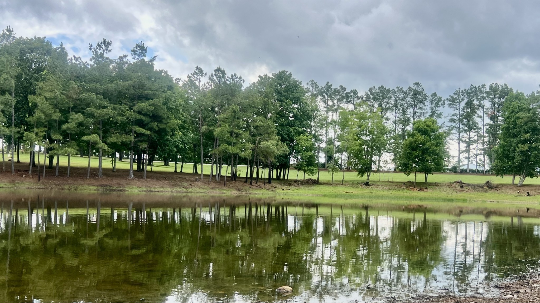 147 Paul Spears Road Summertown TN 38483