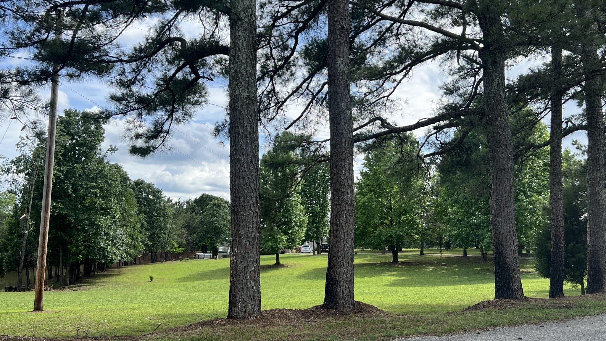 147 Paul Spears Road Summertown TN 38483
