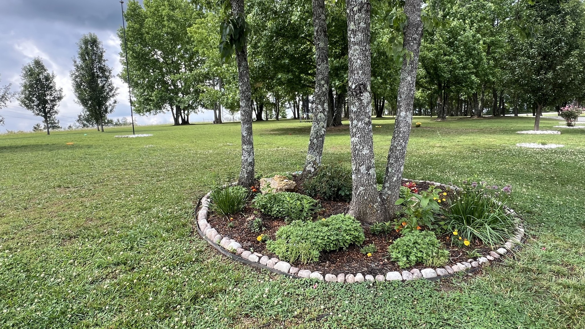 147 Paul Spears Road Summertown TN 38483