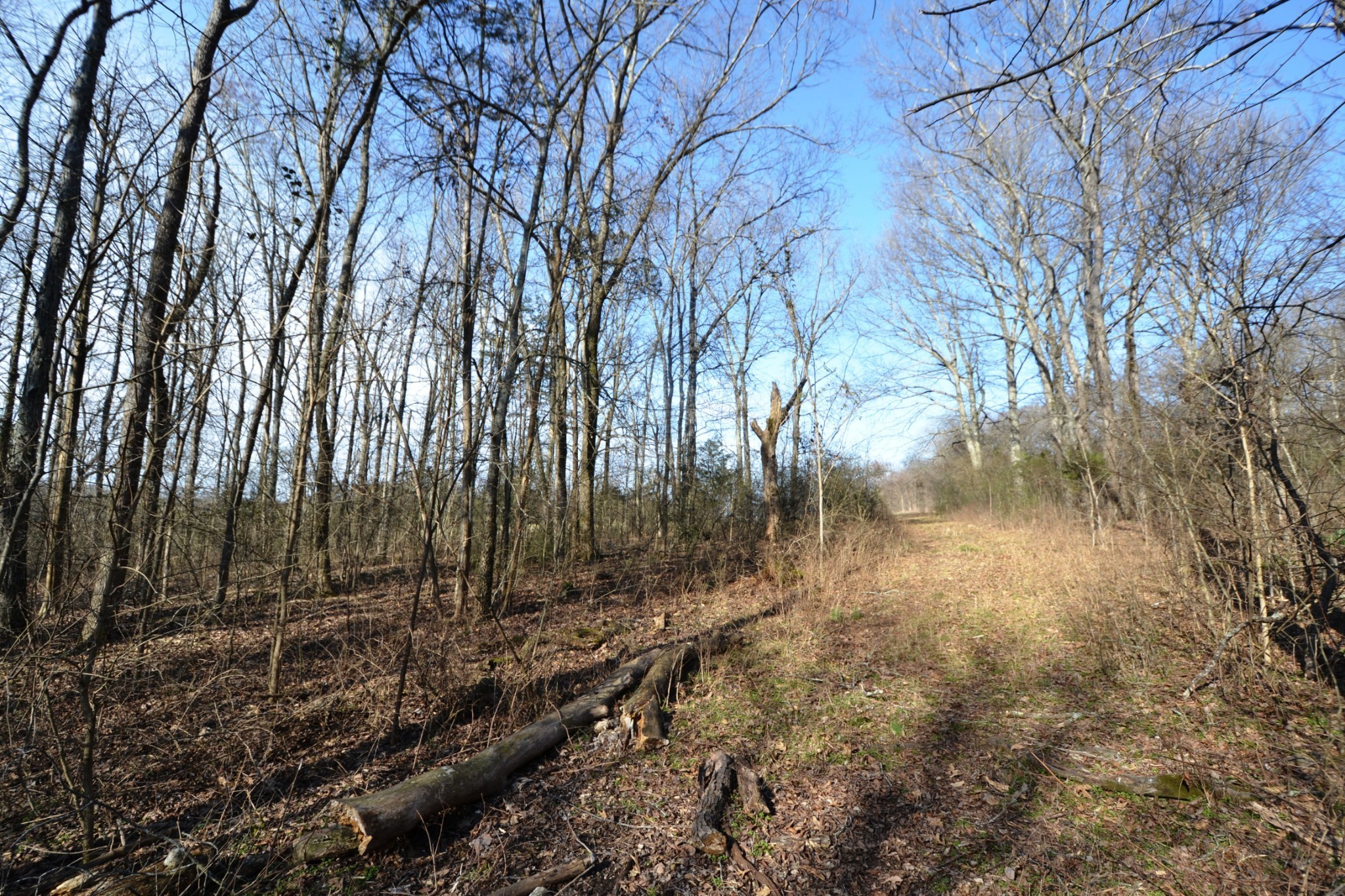 1 Corinth Road Mount Juliet TN 37122