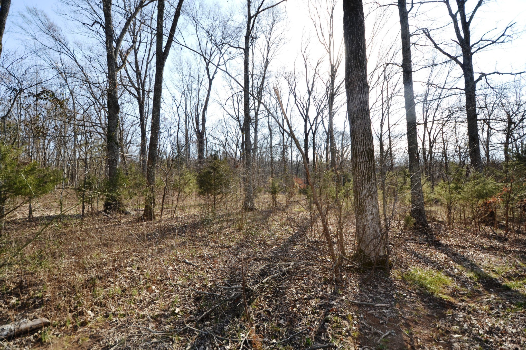 1 Corinth Road Mount Juliet TN 37122