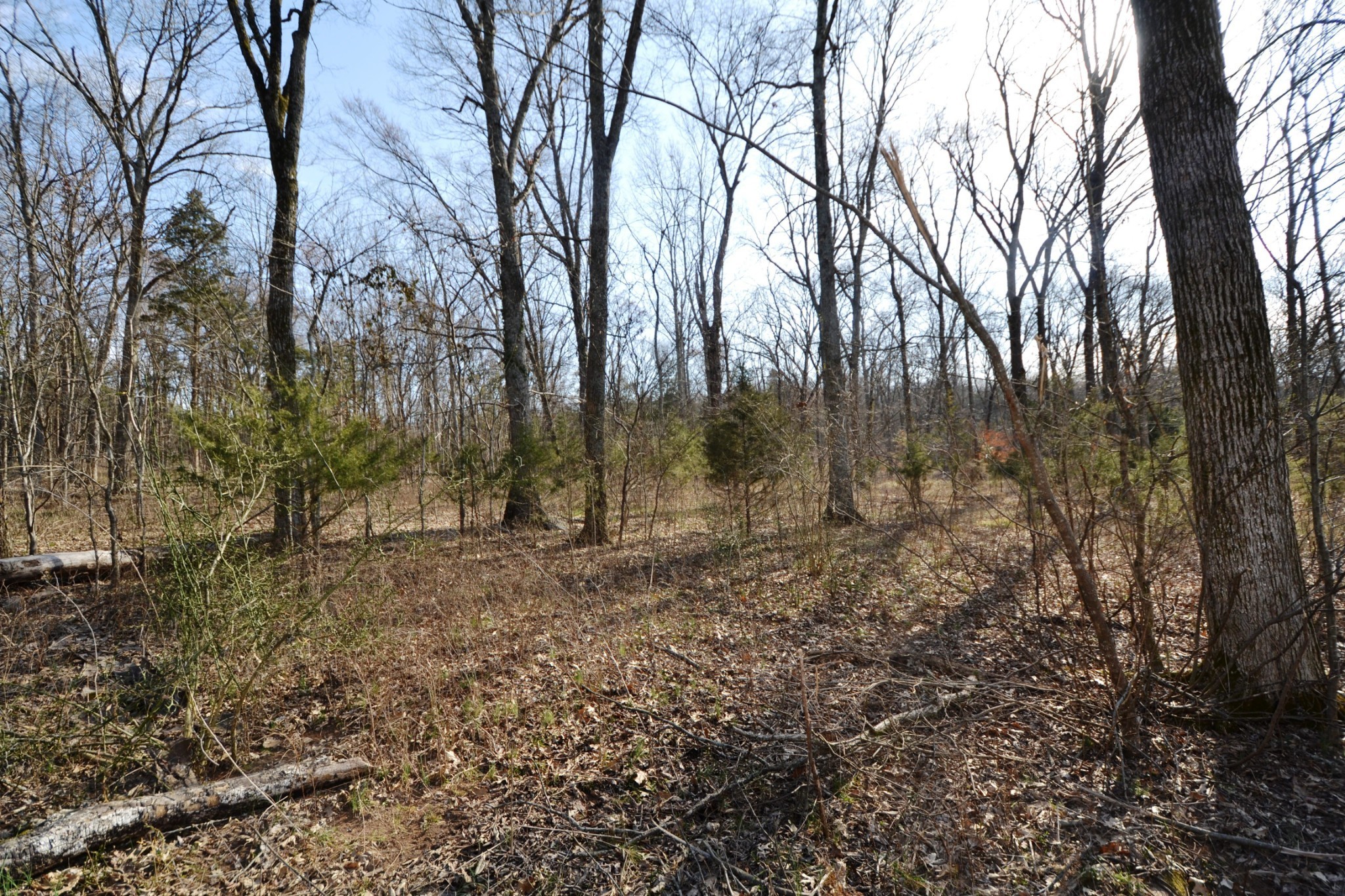 1 Corinth Road Mount Juliet TN 37122