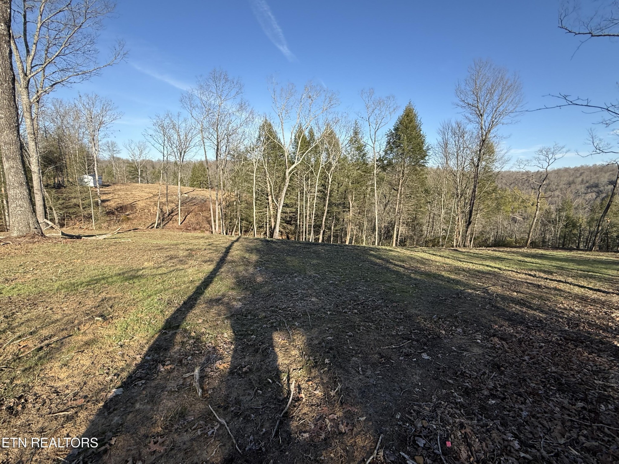 20 Bluff View Allardt TN 38504