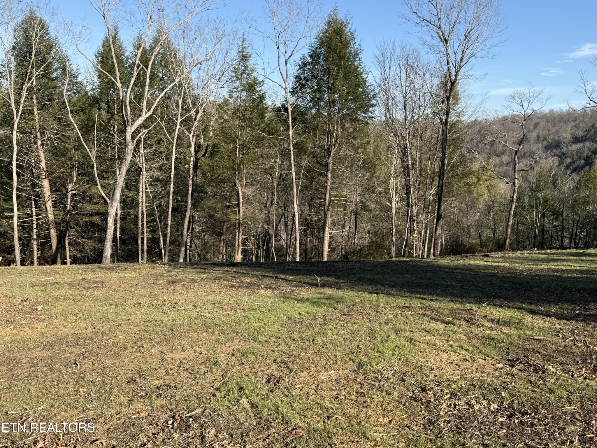 20 Bluff View Allardt TN 38504