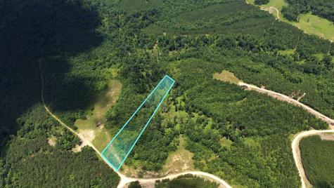 0 Cox Hollow Dover TN 37058
