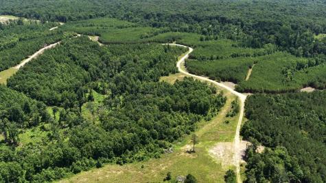 0 Cox Hollow Dover TN 37058