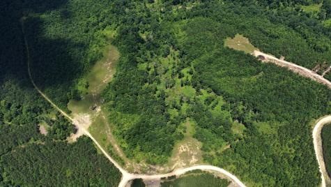 0 Cox Hollow Dover TN 37058