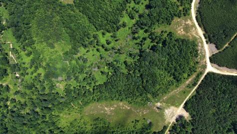 0 Cox Hollow Dover TN 37058
