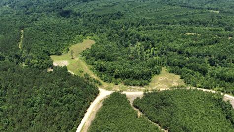 0 Cox Hollow Dover TN 37058