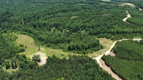 0 Cox Hollow Dover TN 37058
