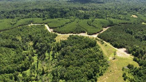 0 Cox Hollow Dover TN 37058