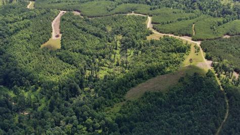 0 Cox Hollow Dover TN 37058