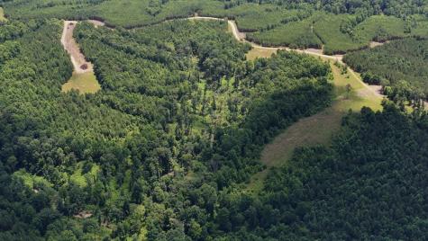 0 Cox Hollow Dover TN 37058