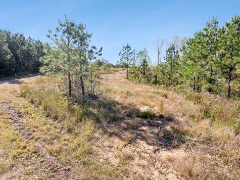 0 Cox Hollow Dover TN 37058