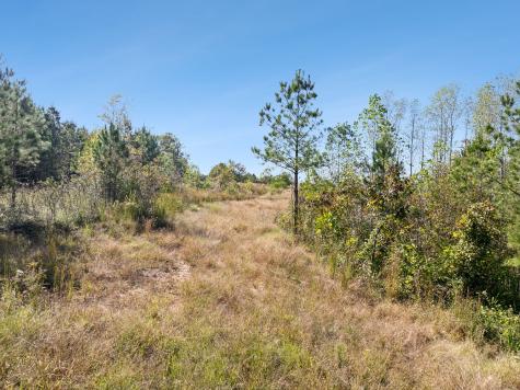 0 Cox Hollow Dover TN 37058