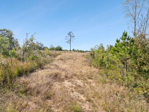 0 Cox Hollow Dover TN 37058