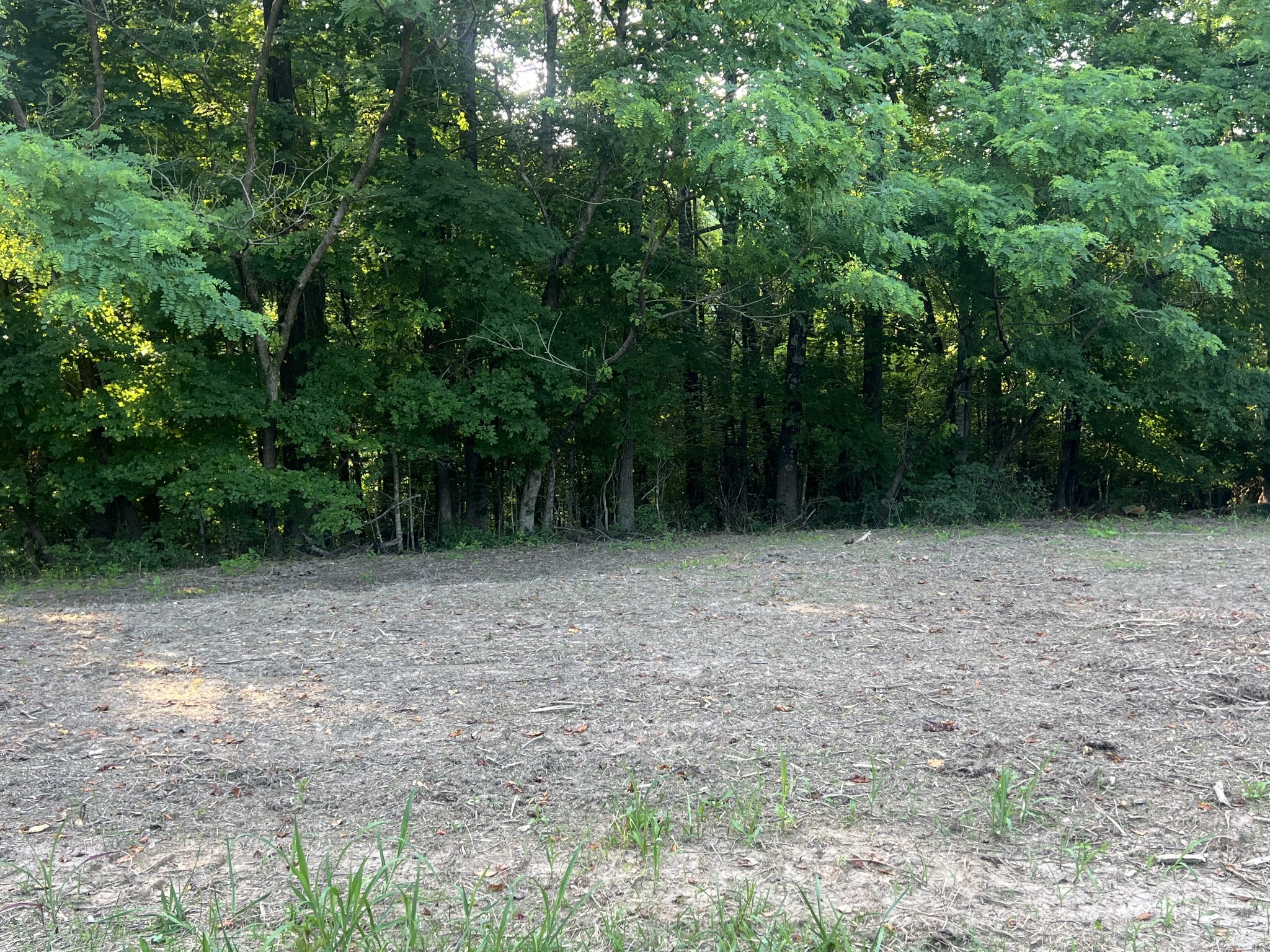 2 Jarrell Ridge Road Clarksville TN 37043