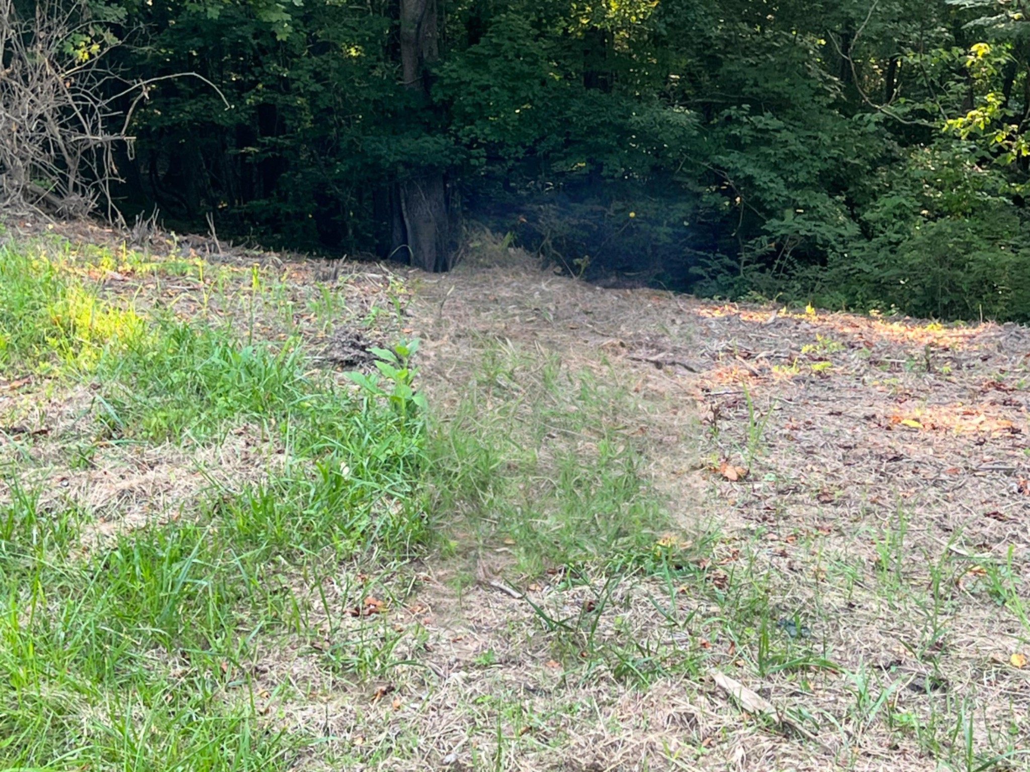 2 Jarrell Ridge Road Clarksville TN 37043