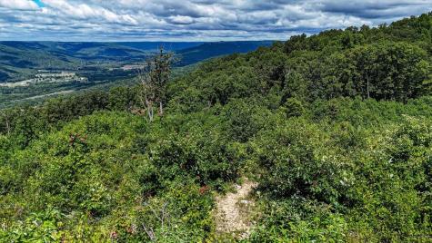 0 Raulston Falls Road Jasper TN 37347