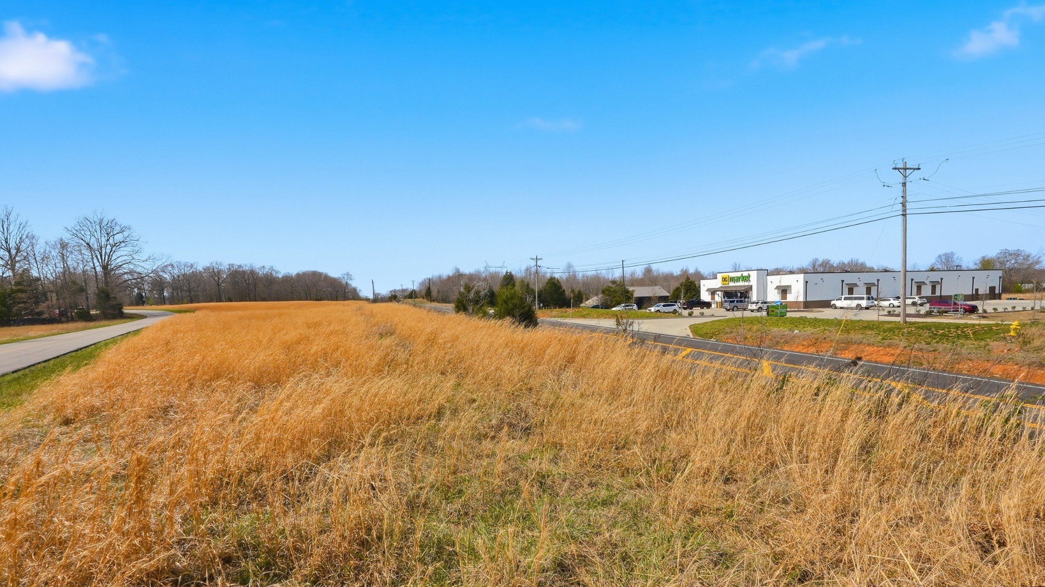 0 Highway 96 Burns TN 37029