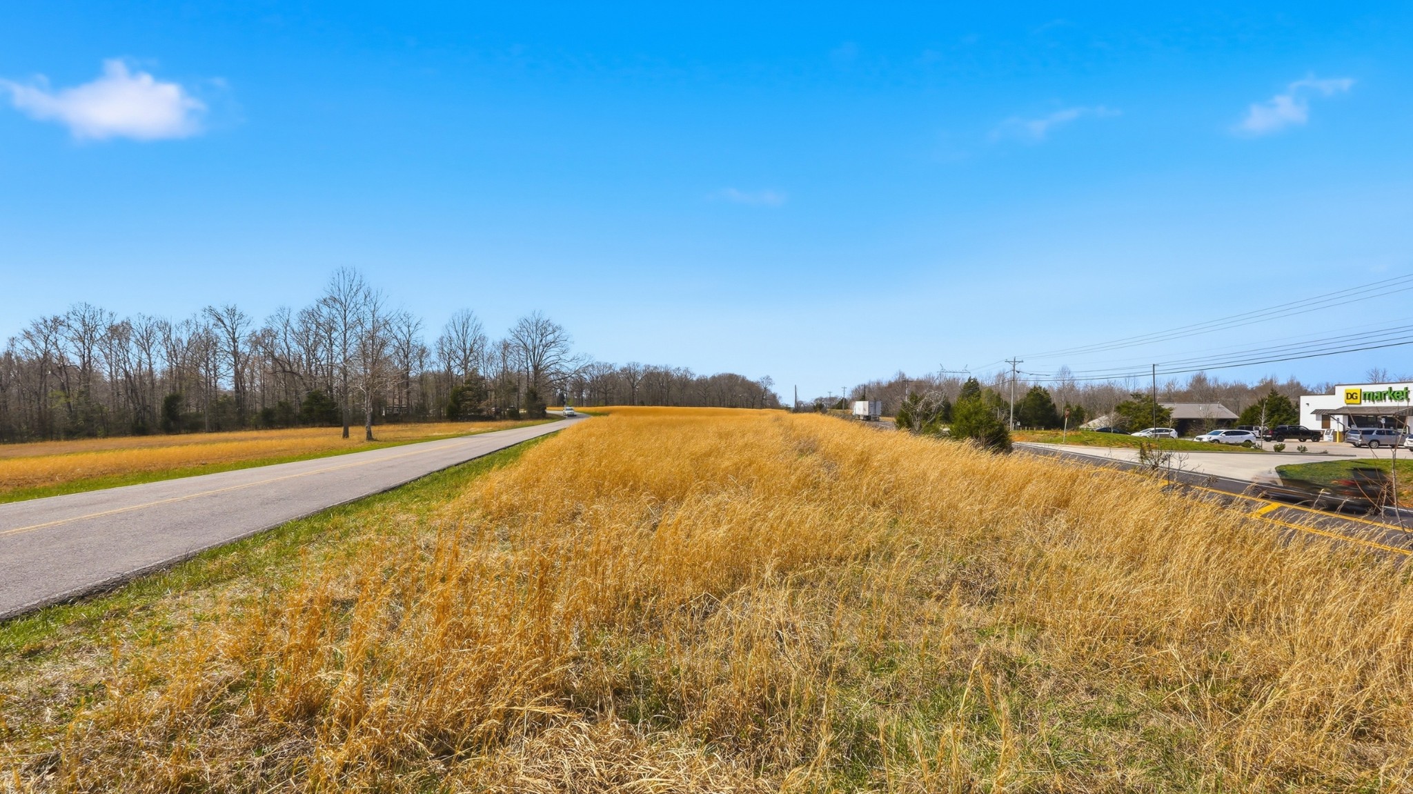 0 Highway 96 Burns TN 37029