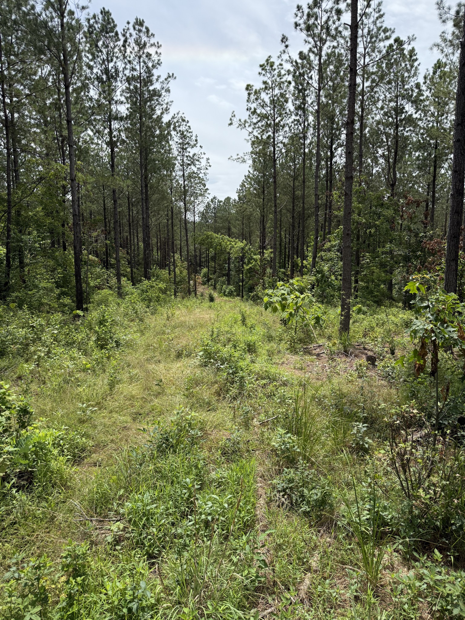 0 Spokelay Road Spencer TN 38585