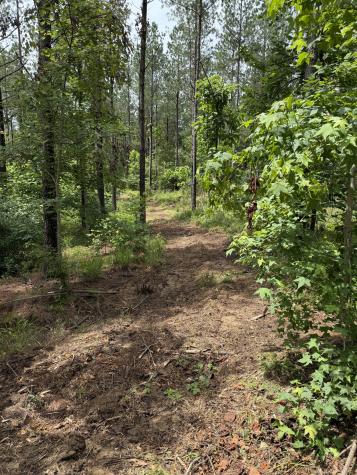 0 Spokelay Road Spencer TN 38585