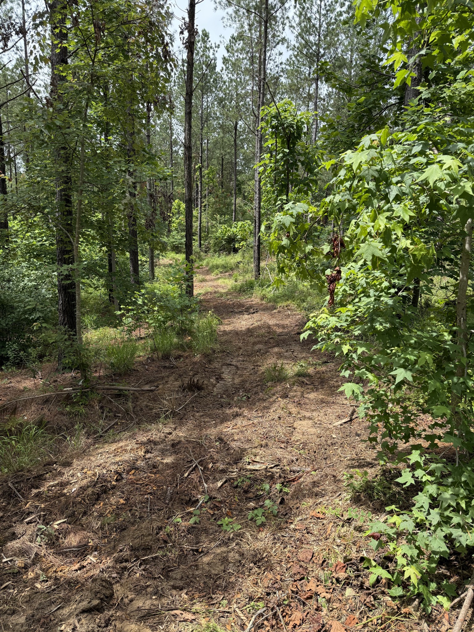 0 Spokelay Road Spencer TN 38585