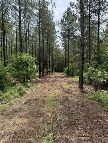 0 Spokelay Road Spencer TN 38585