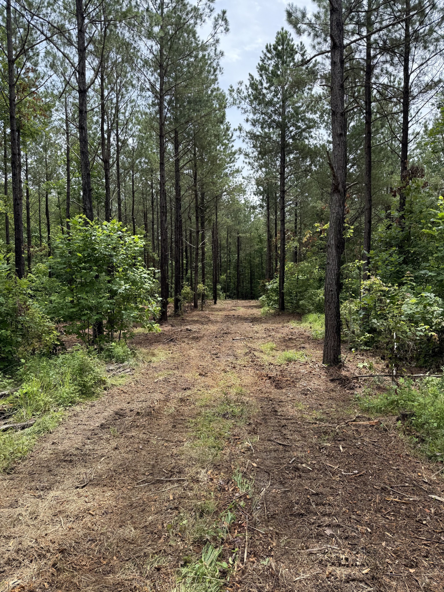 0 Spokelay Road Spencer TN 38585