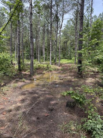 0 Spokelay Road Spencer TN 38585