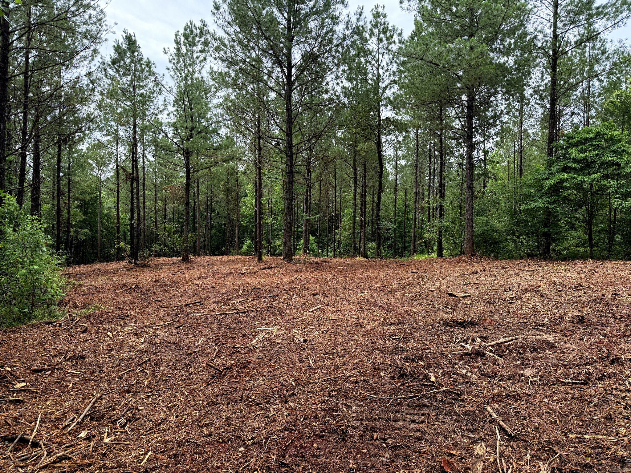 0 Spokelay Road Spencer TN 38585